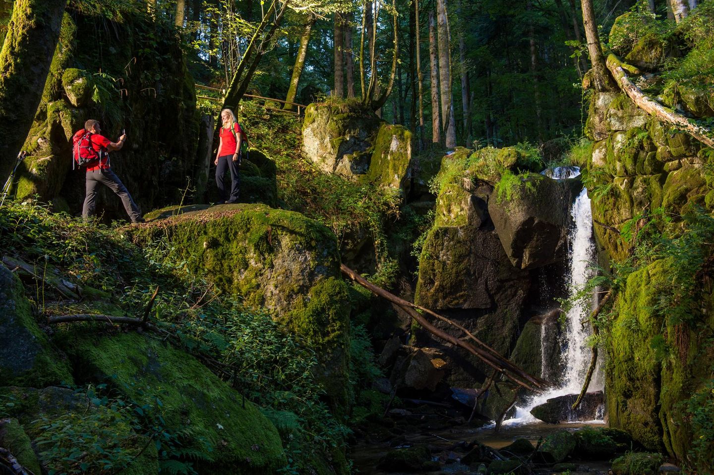 Wasserfall im Albsteig