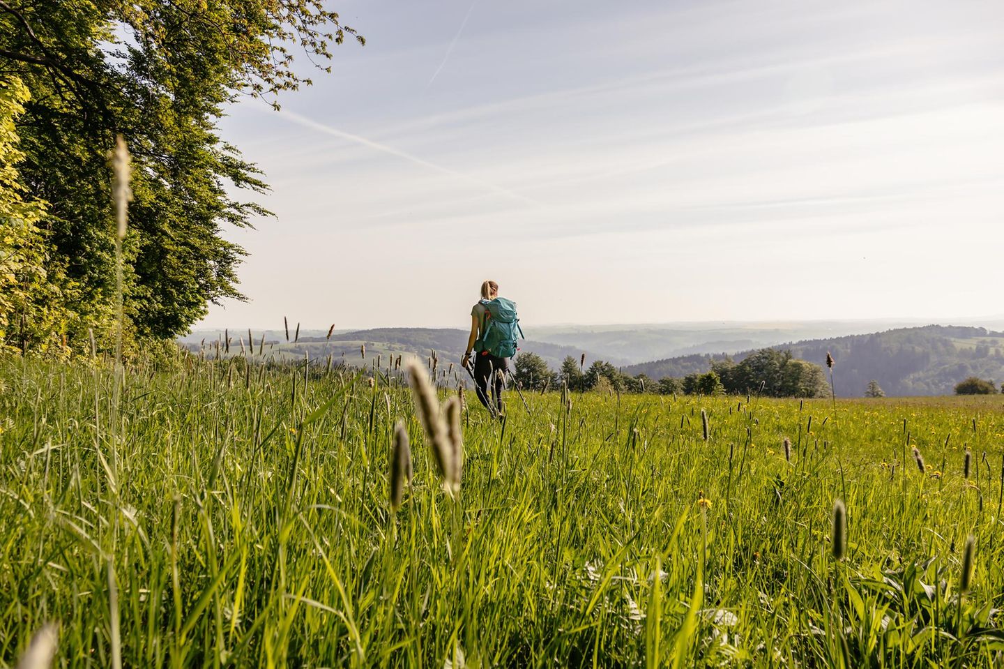 Frau in Wiese unterwegs auf dem Kammweg Erzgebirge-Vogtland