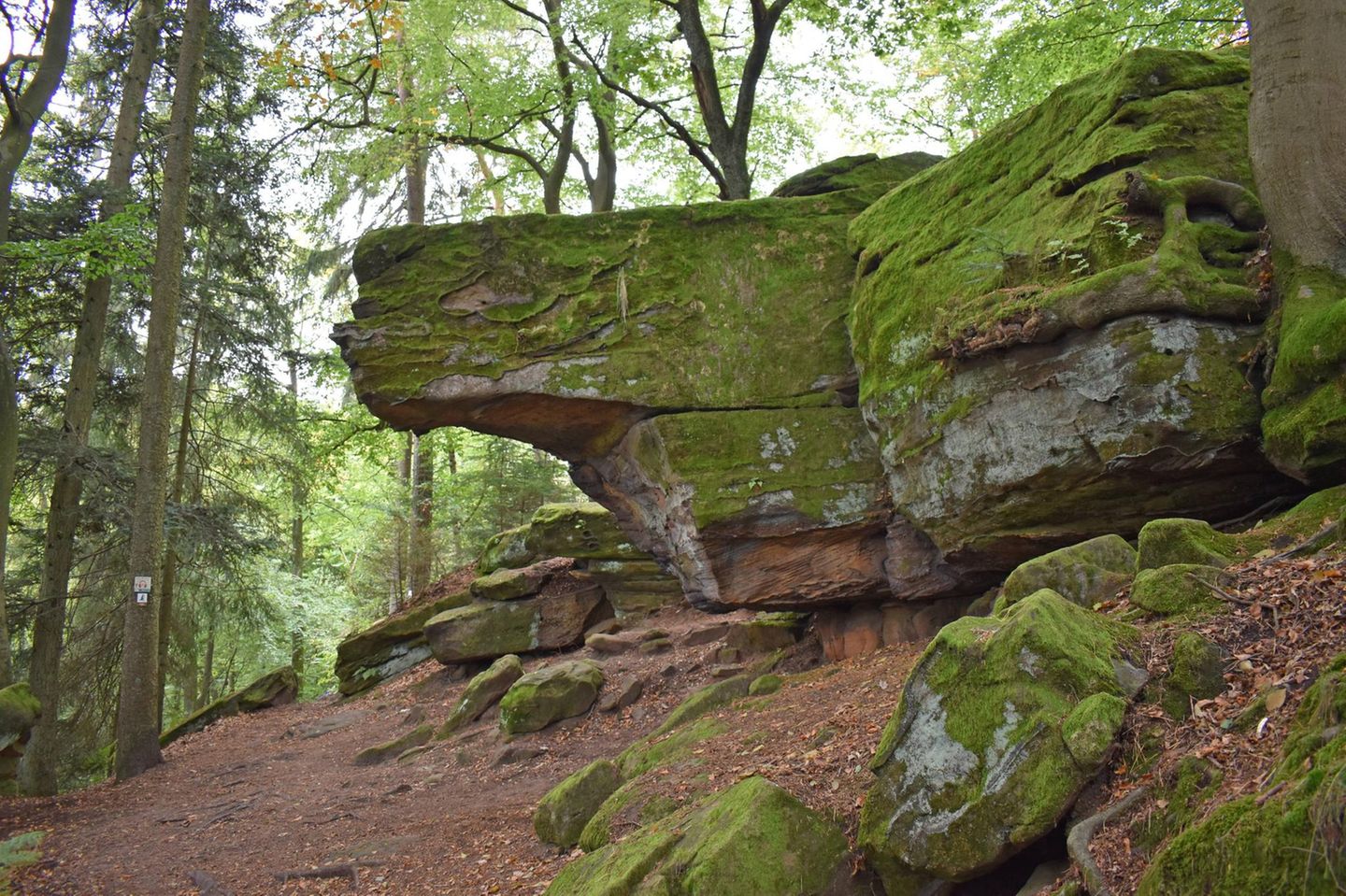 Felsen am Bliessteig