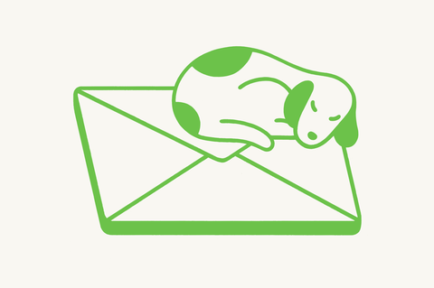 Newsletter GEO+: Die besten Geschichten