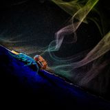 Verschiedene Pilzsporen leuchten auf dem Holz, UV-Licht lässt den Skorpion strahlen – eine Szene wie aus dem Nachtclub, festgehalten in Badlapur.