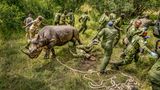 Ein Spitzmaulznashorn ringt um Luft, es ist gerade im Ol-Pejeta-Reservat aus einer schwierigen Narkose erwacht. Die Tiere waren einst in Kenia weit verbreitet, wurden jedoch in den 1970er- und 80er-Jahren durch Wilderei fast ausgerottet. Mit dem Schutz durch die Ranger läuft die Wiederansiedlung der Tiere langsam an – das Ziel: 2000 Tiere, um die Zukunft der Art zu retten.