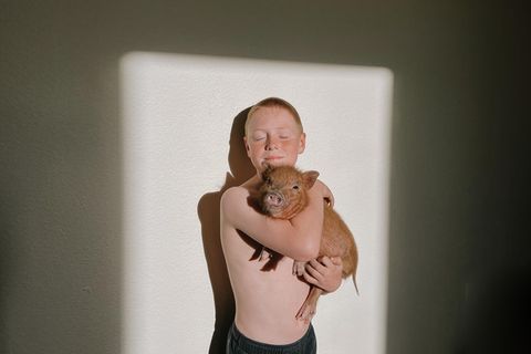 "Honorable Mentions": Kelli Radwanskis Foto hat es bei den IPPAWARDS 2025 nur zur lobenden Erwähnung gebracht, in der Kategorie "Porträt". GEO-Bildchefin Carla Rosorius hat die Aufnahme aber ganz besonders gut gefallen: so natürlich die Situation, so geschickt der Umgang mit dem vorhandenen Licht. "Man spürt die tiefe Verbundenheit zwischen Mensch und Tier", sagt Rosorius.