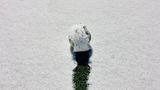 fehlender Horizont macht die Orientierung in diesem Motiv schwer, und doch bleibt man hängen.  negativ zum eigentlichen Fußballfeld werden "linien" gezogen, nicht weiß auf grün, sondern grün in weiß