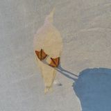 erste Assoziation: Malerei, ungewöhnlich und überraschend, trotzdem harmonisch, ruhig - auch hier: Motiv erkannt, ohne dass es sich aufdrängen würde