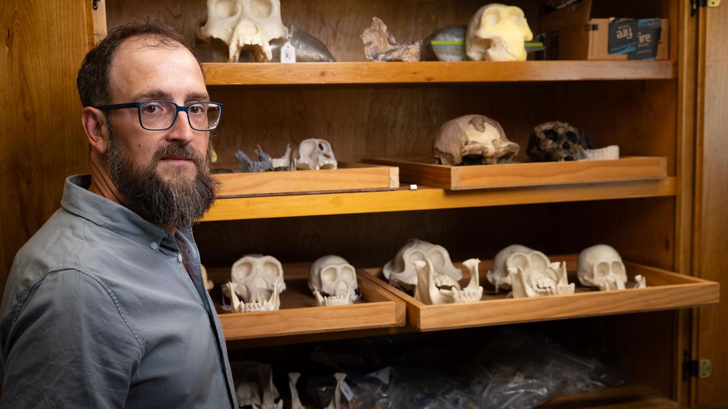 Fossilienfunde-Unsere-Vorfahren-waren-nicht-allein-Neue-Entdeckung-berrascht-Forschende