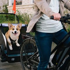 Gemeinsame Radtour geplant? Im passenden Fahrradanhänger kommt Ihr Hund entspannt und sicher mit auf Entdeckungstour