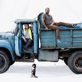 Lkw mit Fahrer und Hund