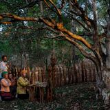 Ehepaar betet vor einem Baum