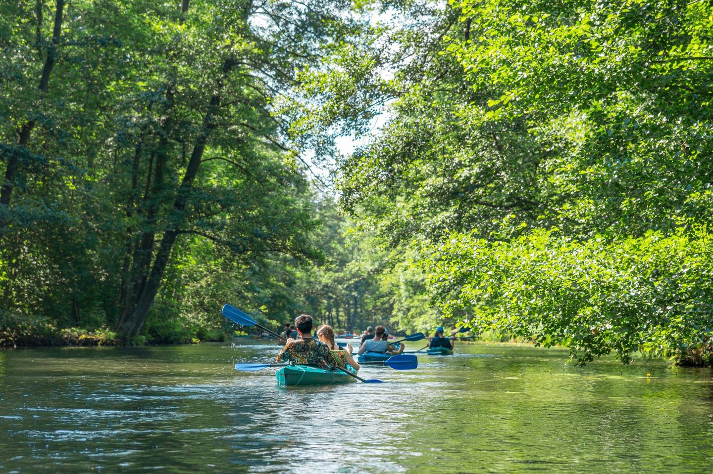 Wasserwanderung auf der vielseitigen Spree Spreewald Paddeltour