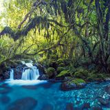 Wasserfall am Milford Sound, Neuseeland