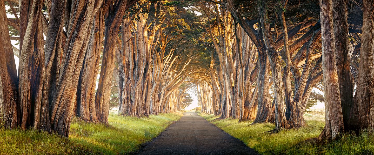 Point Reyes National Seashore, Kalifornien, USA
