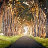 Point Reyes National Seashore, Kalifornien, USA