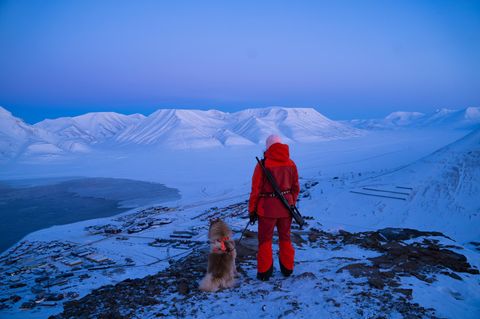 Der Aufstieg zum Platafjellet ist steil, doch die Mühe lohnt sich: Vom Gipfel des Tafelbergs öffnet sich ein atemberaubender Blick auf Longyearbyen. Immer mit dabei – ein Gewehr. "Hier auf Spitzbergen wagen wir uns nie ohne Schusswaffe in die Wildnis", erzählt Auswanderin Cecilia Blomdahl. Denn im Notfall könnte sie der einzige Schutz vor Eisbären sein. Schließlich kann man den mächtigen Tieren hier jederzeit begegnen. Als Blomdahl ihren Umzug vorbereitete, erschien ihr der Gedanke, für jeden Spaziergang eine Waffe mitzunehmen, noch befremdlich. Heute gehört es zum Alltag. Die Mitnahme von Waffe, Signalstift und Leuchtpistole ist auf Spitzbergen sogar vom Gouverneursbüro vorgeschrieben – nicht zum Jagen, sondern zur Abschreckung. Ein Schuss darf nur in lebensbedrohlichen Situationen fallen. Wird dabei tatsächlich ein Tier getötet, folgt stets eine gründliche Untersuchung.