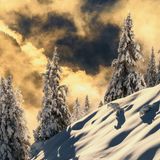 Abendsonne lässt den Neuschnee glitzern