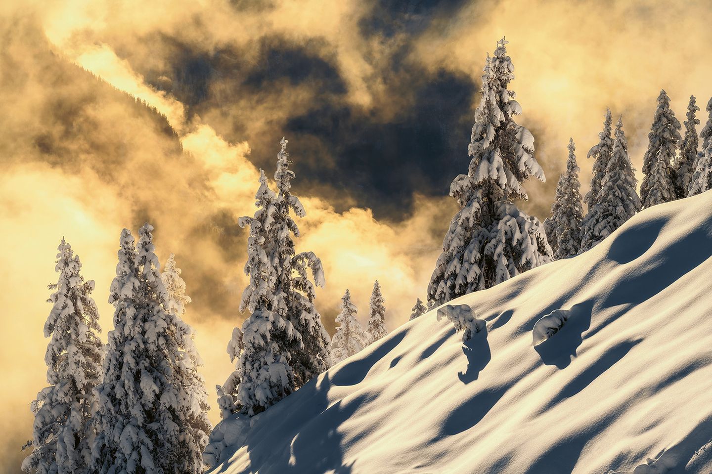 Abendsonne lässt den Neuschnee glitzern