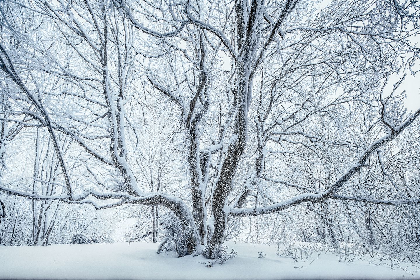 Frost und Schnee im Winter in der bayerischen Rhön