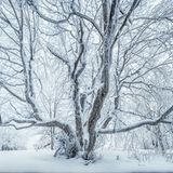 Frost und Schnee im Winter in der bayerischen Rhön