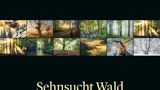 Kalender-Cover, Sehnsucht Wald 2026,