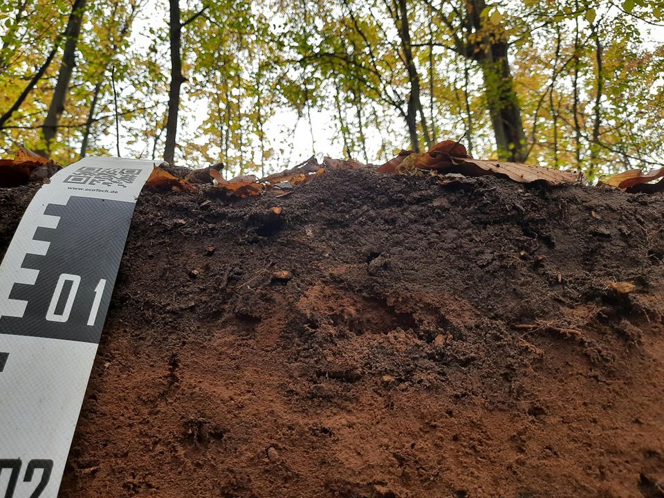 Umwelt: An vier Standorten östlich von Darmstadt entnahm das Forschungsteam Bodenproben aus verschiedenen Schichten An vier Standorten östlich von Darmstadt entnahm das Forschungsteam Bodenproben aus verschiedenen Schichten