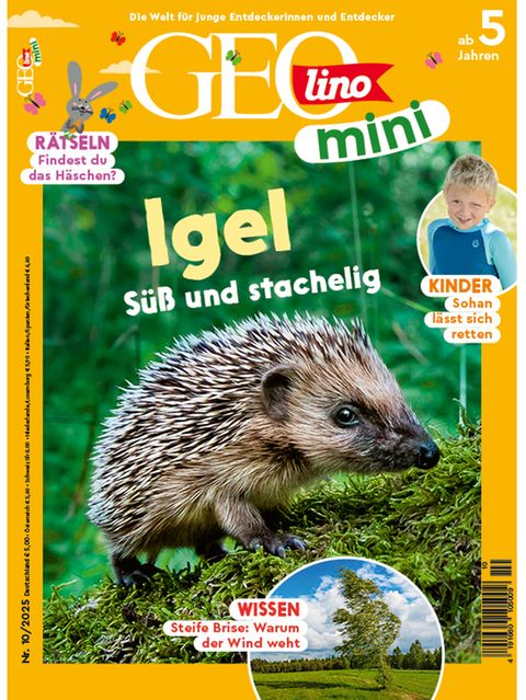 GEOlino Mini 10/2025: Igel