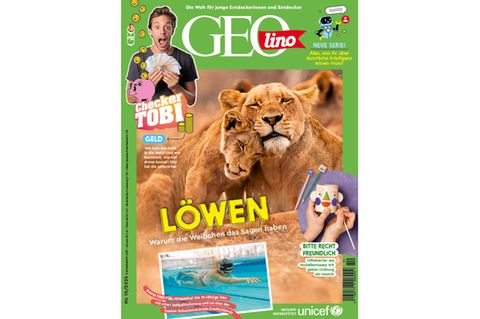 Cover GEOlino 10-2025: Löwen