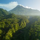 Eine grüne Waldlandschaft erstreckt sich. Im Hintergrund der Merapi Vulkan