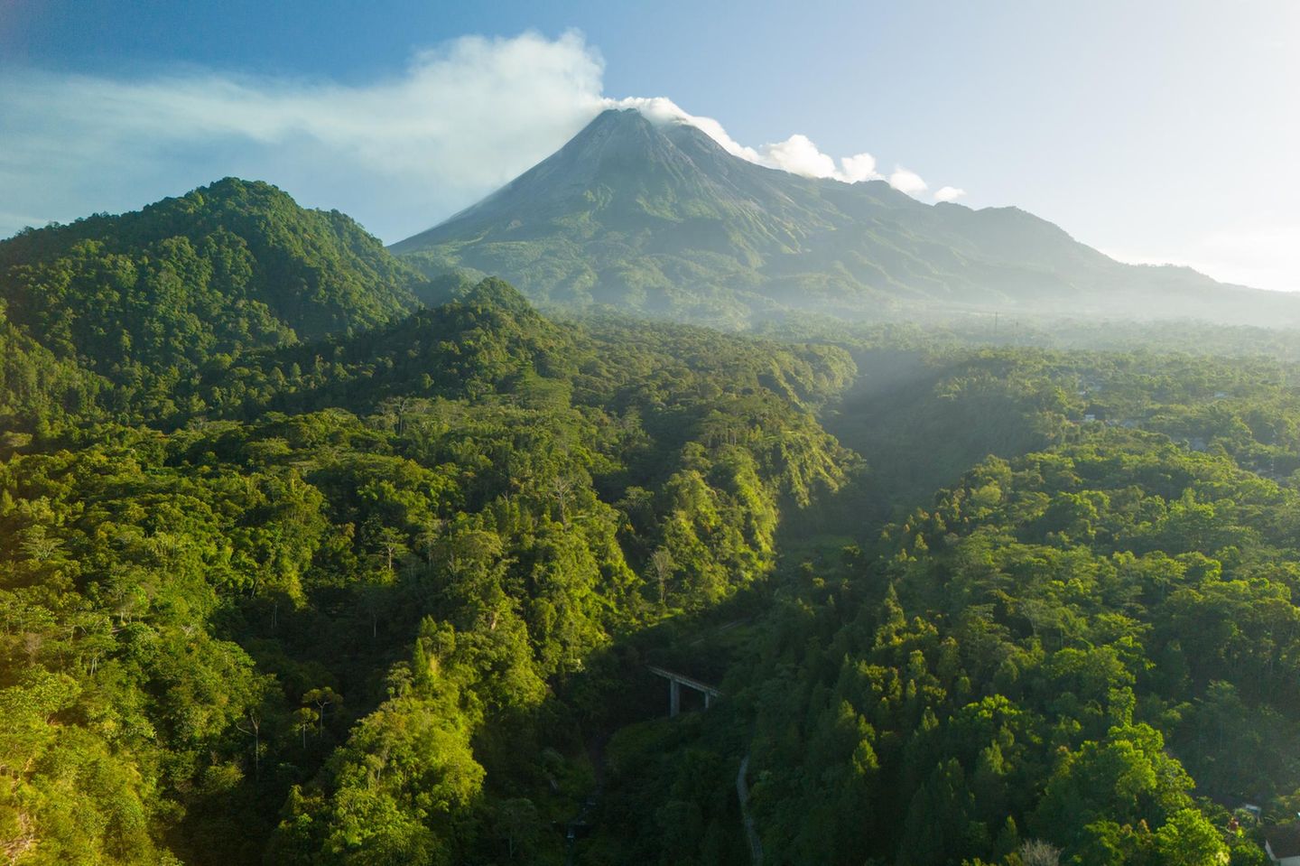 Eine grüne Waldlandschaft erstreckt sich. Im Hintergrund der Merapi Vulkan