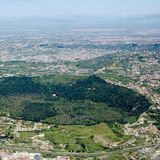 Ein großes Waldbedecktes Feld umgeben von Wohnhäusern