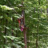 Erwachsene und Kinder klettern im Waldseilpark Taborhöhe