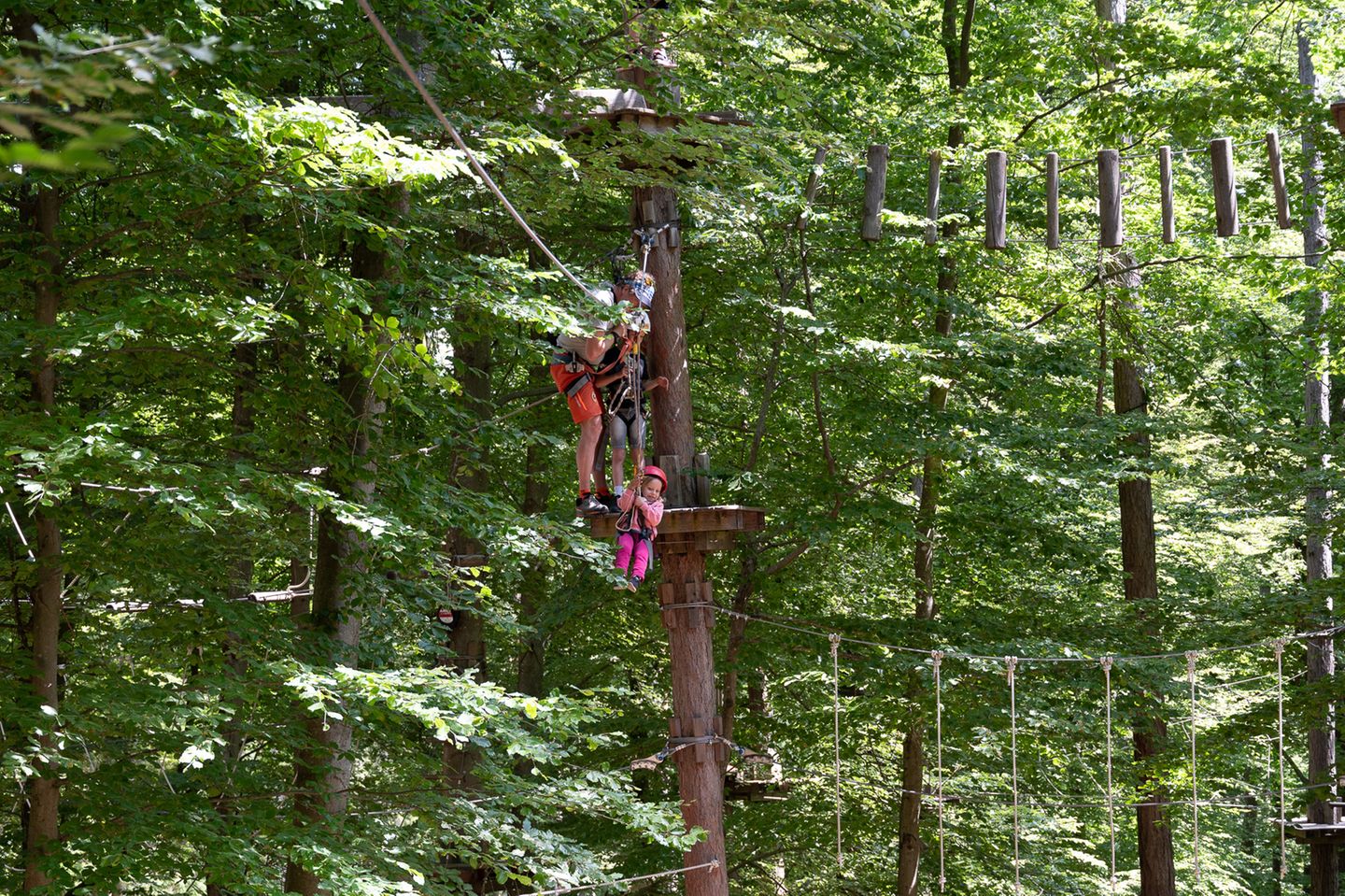 Erwachsene und Kinder klettern im Waldseilpark Taborhöhe