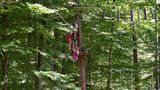 Erwachsene und Kinder klettern im Waldseilpark Taborhöhe
