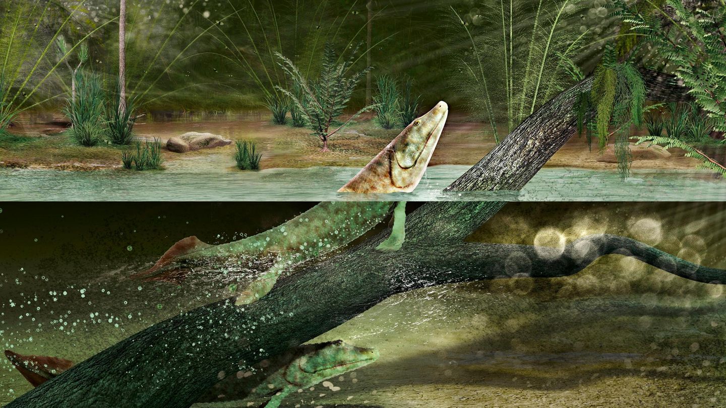 Evolution: Wie das Leben an Land kam - [GEO]