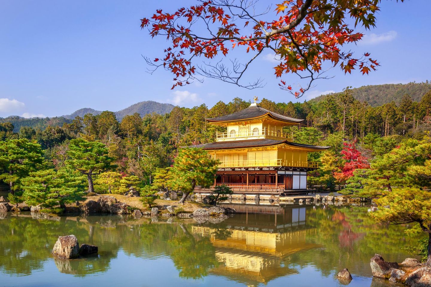 Strahlend schön: der Goldene Pavillon Goldener Pavillon, im Hintergrund dichtes Grün, im Vordergrund Teich mit Spiegelung