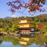 Goldener Pavillon, im Hintergrund dichtes Grün, im Vordergrund Teich mit Spiegelung
