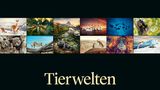 GEO Kalender "Tierwelten" für 2026