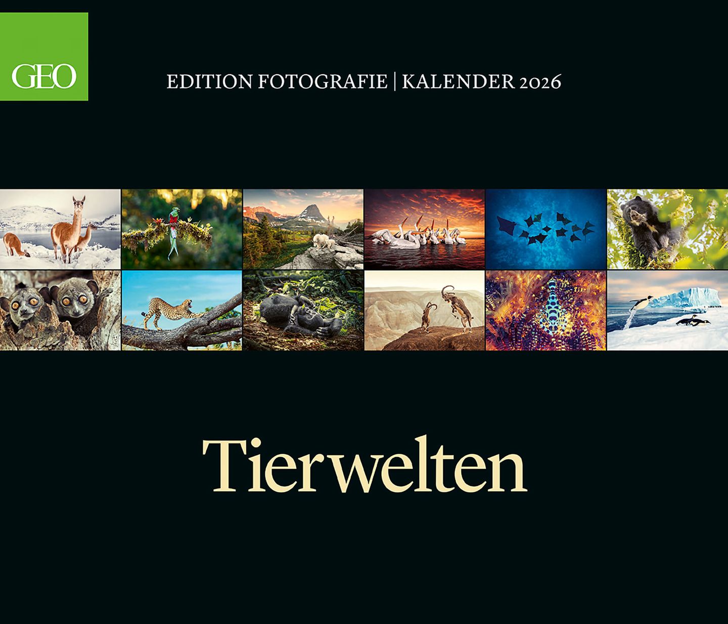 GEO Kalender "Tierwelten" für 2026