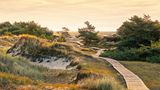 Wer Ruhe und frische Seeluft sucht, findet sie auf einer der schönsten Halbinseln der deutschen Ostsee. Hier kann man kilometerweit den Strand entlangschlendern, ohne anderen Wandernden zu begegnen. Auf der durch Sand- und Sedimentablagerungen entstandenen Landzunge Darßer Ort lässt es sich auf Bohlen zwischen den Dünen hindurchspazieren
