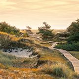 Wer Ruhe und frische Seeluft sucht, findet sie auf einer der schönsten Halbinseln der deutschen Ostsee. Hier kann man kilometerweit den Strand entlangschlendern, ohne anderen Wandernden zu begegnen. Auf der durch Sand- und Sedimentablagerungen entstandenen Landzunge Darßer Ort lässt es sich auf Bohlen zwischen den Dünen hindurchspazieren