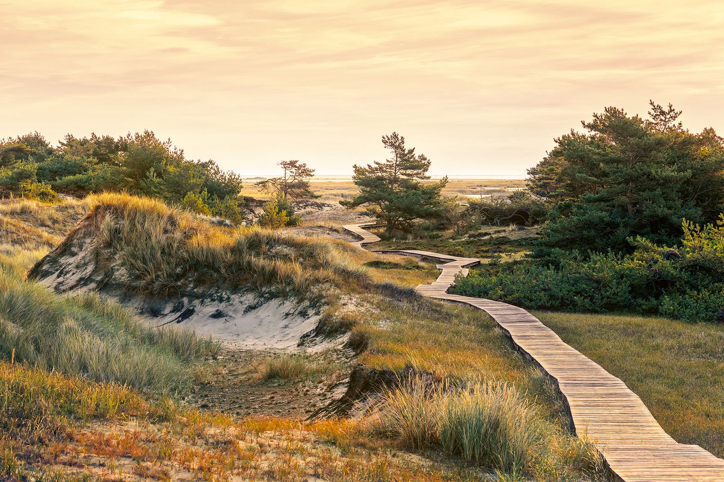 Wer Ruhe und frische Seeluft sucht, findet sie auf einer der schönsten Halbinseln der deutschen Ostsee. Hier kann man kilometerweit den Strand entlangschlendern, ohne anderen Wandernden zu begegnen. Auf der durch Sand- und Sedimentablagerungen entstandenen Landzunge Darßer Ort lässt es sich auf Bohlen zwischen den Dünen hindurchspazieren