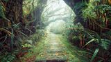 Tropenwald auf La Réunion