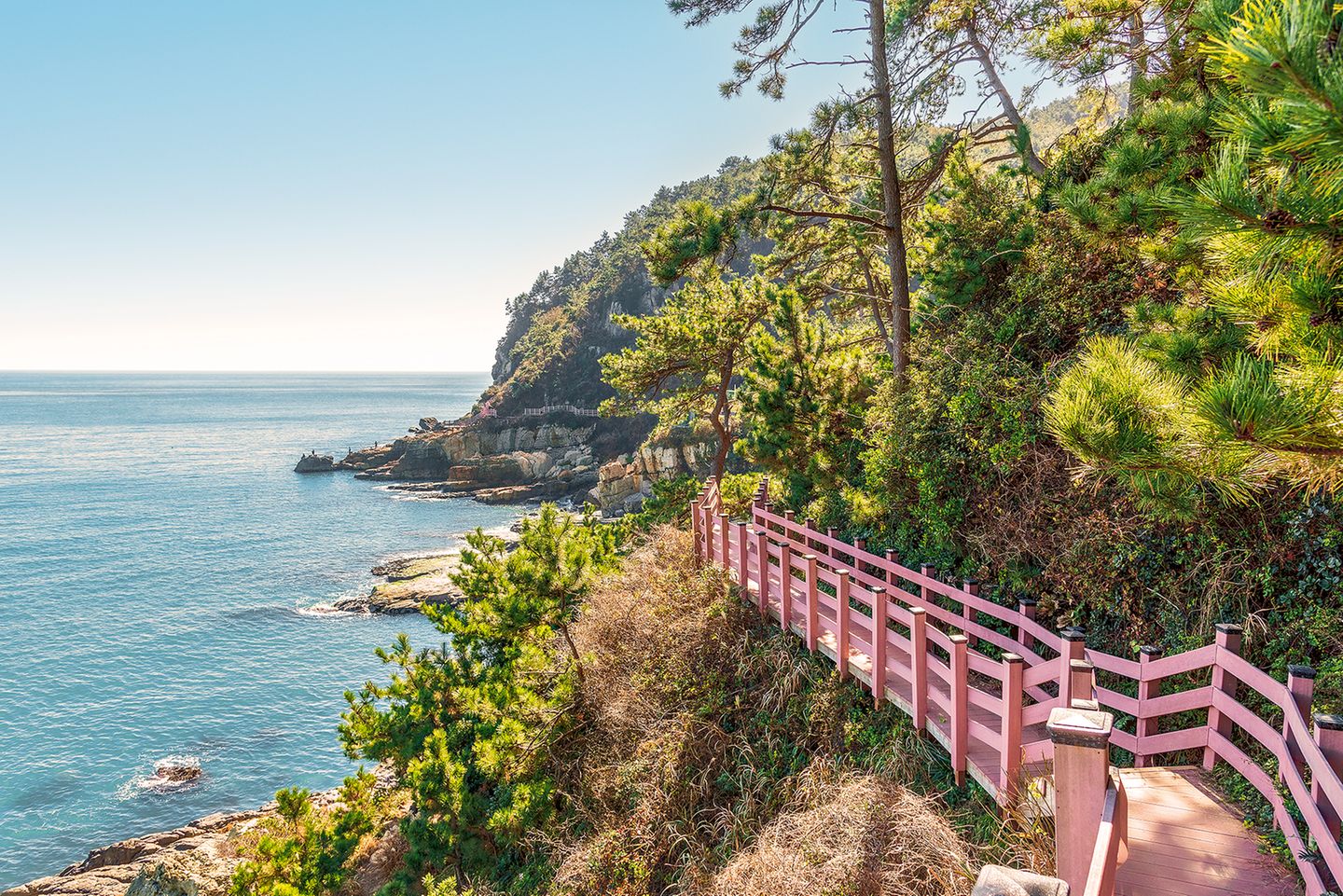 Holzstege an der Küste von Busan, Südkorea