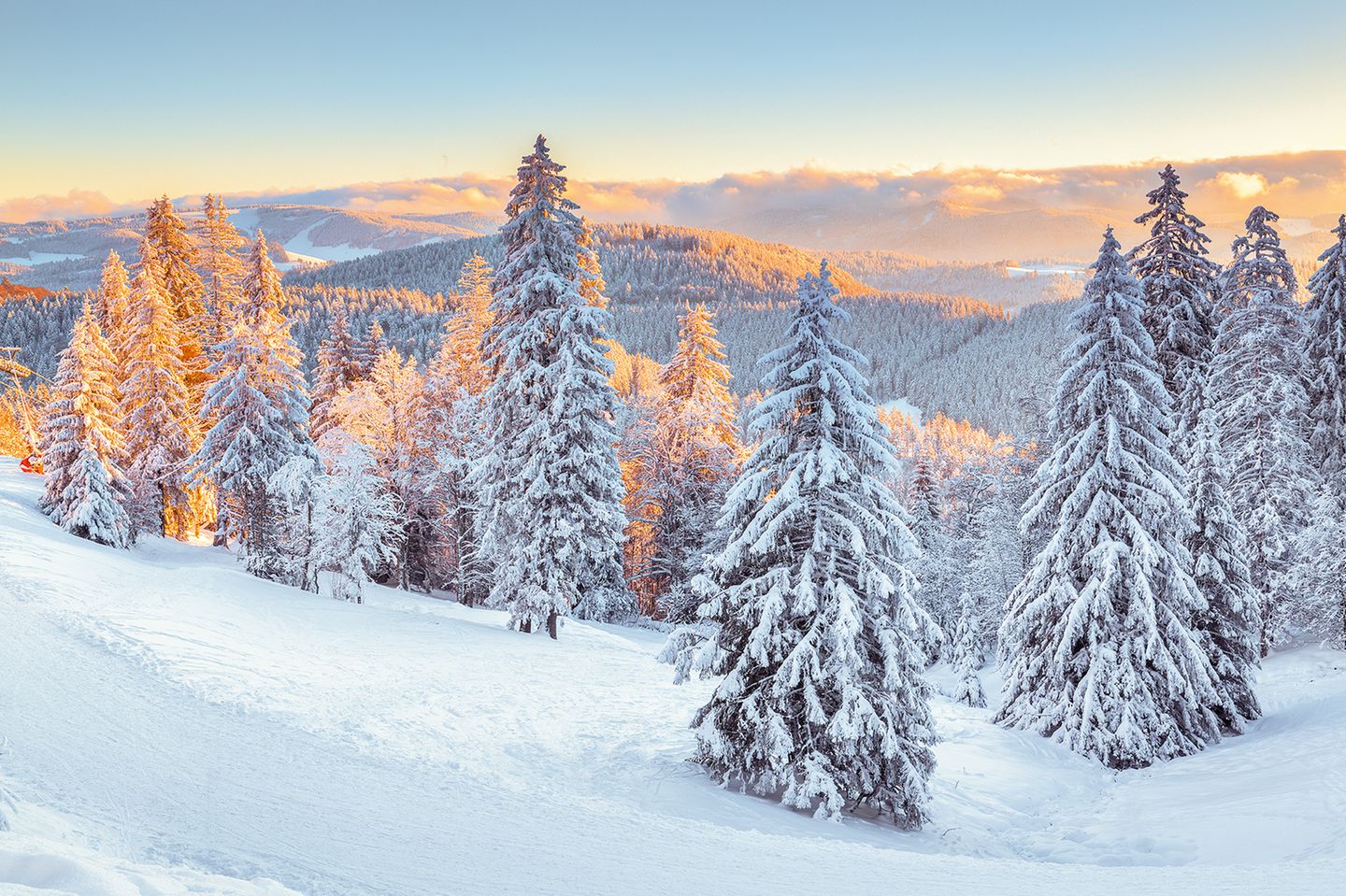 Schwarzwald  im Winter