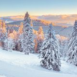 Schwarzwald  im Winter