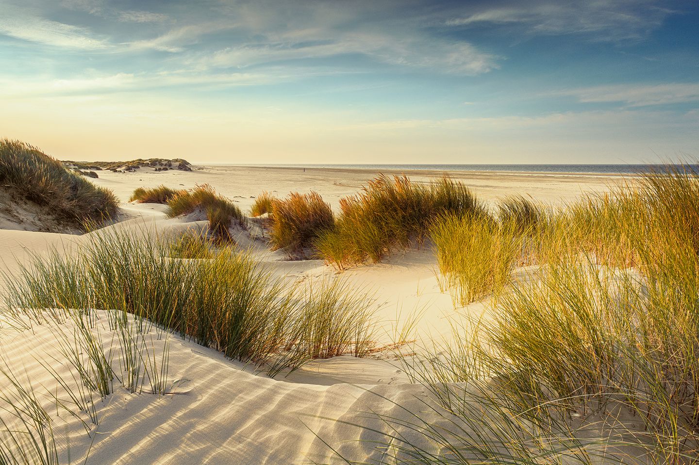 Dünen von Hooge Hörn auf Borkum
