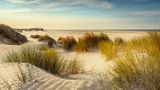 Dünen von Hooge Hörn auf Borkum