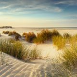 Dünen von Hooge Hörn auf Borkum