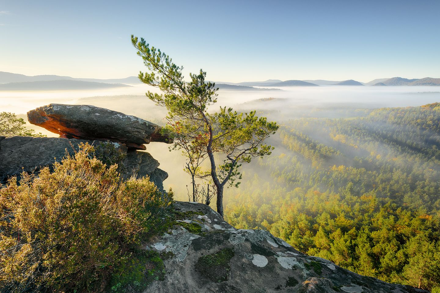 Nebel wabert über den Pfälzerwald im Dahner Felsenland