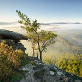 Nebel wabert über den Pfälzerwald im Dahner Felsenland