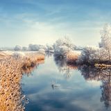 Raureif überzieht die Landschaft und die Schilfrohrhalme an der Spreeaue bei Maiberg